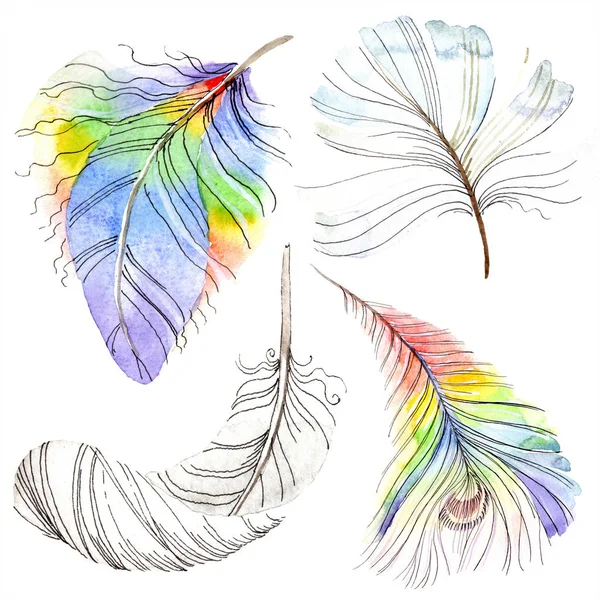 Bunte Vogelfeder vom Flügel isoliert. Aquarellfeder für Hintergrund, Textur. Aquarell Hintergrundillustration Set. Aquarell Zeichnung Mode Aquarell isoliert. — Stockfoto