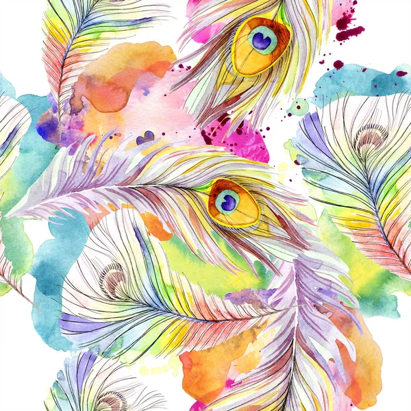 Colorful bird feather from wing isolated. Watercolor background illustration set. Watercolour drawing fashion aquarelle isolated. Seamless background pattern. Fabric wallpaper print texture. — Stock Photo