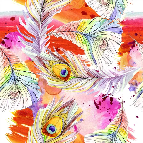 Colorful bird feather from wing isolated. Watercolor background illustration set. Watercolour drawing fashion aquarelle isolated. Seamless background pattern. Fabric wallpaper print texture. — Stock Photo