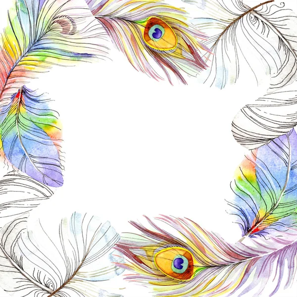 Bunte Vogelfeder vom Flügel isoliert. Aquarellfeder für Rahmen oder Bordüre. Aquarell Hintergrundillustration Set. Aquarell zeichnen Mode-Aquarell. Rahmen Rand Ornament Quadrat. — Stockfoto