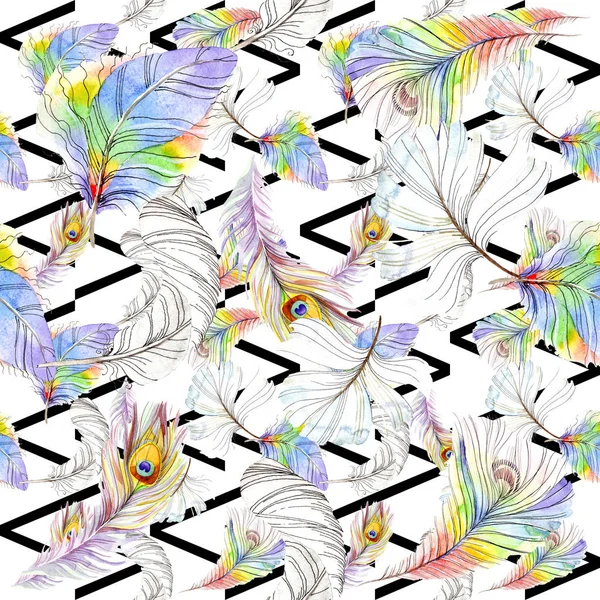 Piuma d'uccello variopinta da ala isolata. Acquerello sfondo illustrazione set. Acquerello disegno moda acquerello isolato. Modello di sfondo senza soluzione di continuità. Tessuto carta da parati stampa texture . — Foto stock