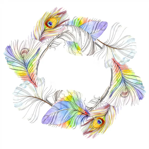 Bunte Vogelfeder vom Flügel isoliert. Aquarellfeder für Rahmen oder Bordüre. Aquarell Hintergrundillustration Set. Aquarell zeichnen Mode-Aquarell. Rahmen Rand Ornament Quadrat. — Stockfoto