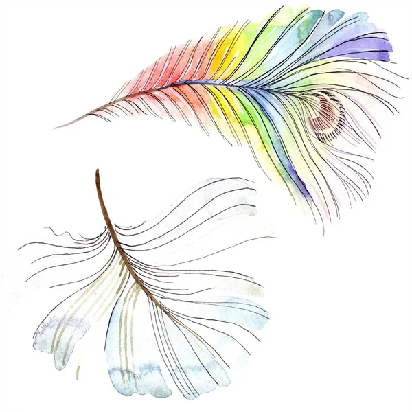 Plume d'oiseau colorée de l'aile isolée. Plumes Aquarelle pour fond, texture. Ensemble d'illustration de fond aquarelle. Aquarelle dessin mode aquarelle isolé . — Photo de stock