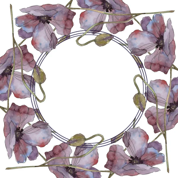 Fiore botanico floreale di papavero rosso e viola. Foglia selvatica primaverile isolata. Acquerello sfondo illustrazione set. Acquerello disegno moda acquerello isolato. Quadrato ornamento bordo cornice . — Foto stock