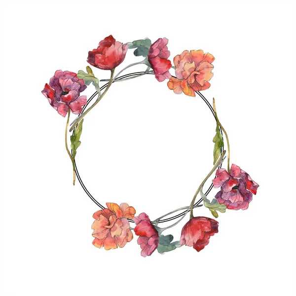 Flor botânica floral de papoula vermelha. Folha selvagem primavera wildflower isolado. Conjunto de ilustração de fundo aquarela. Aquarelle desenho aquarelle moda isolado. Quadro borda ornamento quadrado . — Fotografia de Stock