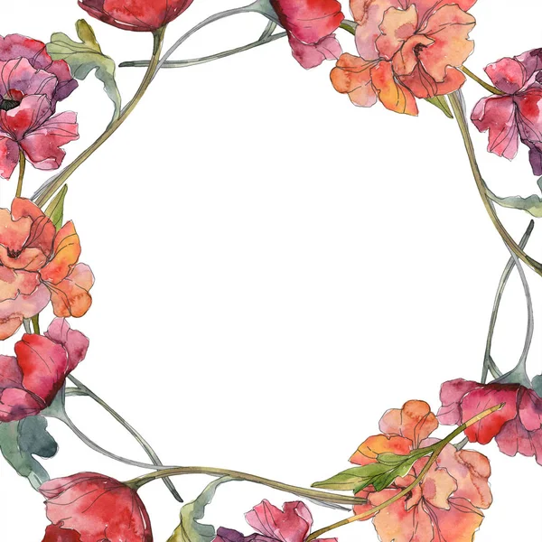 Fiore botanico floreale di papavero rosso. Fiore selvatico primaverile isolato. Acquerello sfondo illustrazione set. Acquerello disegno moda acquerello isolato. Quadrato ornamento bordo cornice . — Foto stock