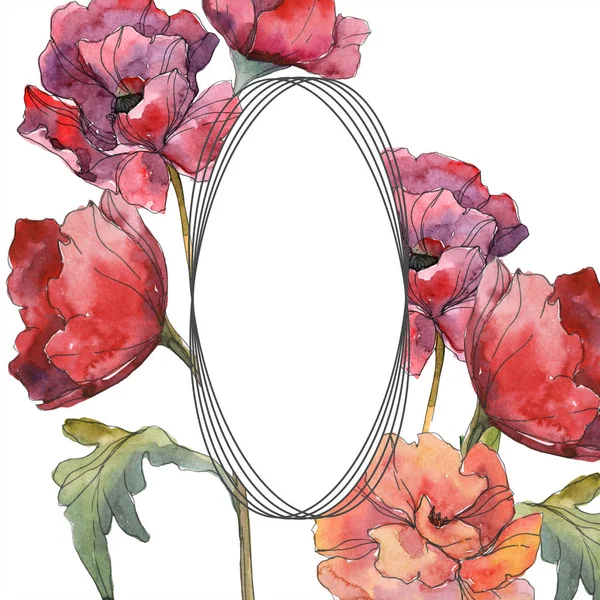 Flor botánica floral de amapola roja. Flor silvestre de hoja de primavera aislada. Conjunto de ilustración de fondo acuarela. Acuarela dibujo moda acuarela aislado. Marco borde ornamento cuadrado . — Stock Photo