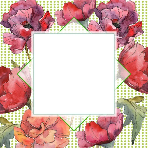 Red poppy floral botanical flower. Wild spring leaf wildflower isolated. Watercolor background illustration set. Watercolour drawing fashion aquarelle isolated. Frame border ornament square. — Stock Photo