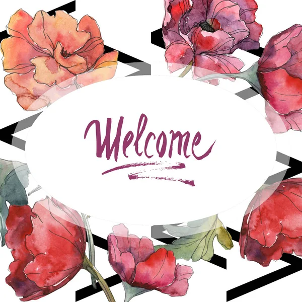 Red poppy floral botanical flower. Wild spring leaf wildflower isolated. Watercolor background illustration set. Watercolour drawing fashion aquarelle isolated. Frame border ornament square. — Stock Photo