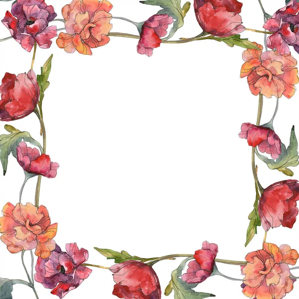 Flor botánica floral de amapola roja. Flor silvestre de hoja de primavera aislada. Conjunto de ilustración de fondo acuarela. Acuarela dibujo moda acuarela aislado. Marco borde ornamento cuadrado . - foto de stock