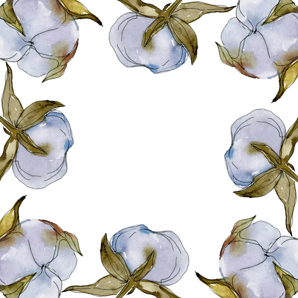 Flor botánica floral de algodón blanco. Flor silvestre de hoja de primavera aislada. Conjunto de ilustración de fondo acuarela. Acuarela dibujo moda acuarela aislado. Marco borde ornamento cuadrado . - foto de stock