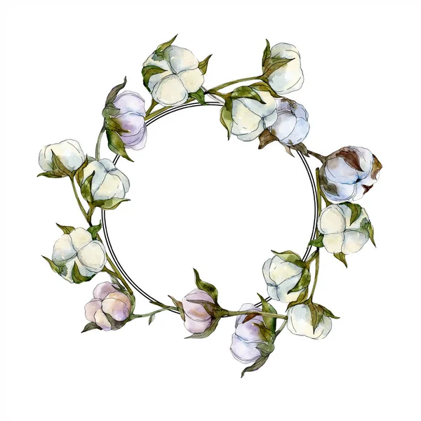 Flor botânica floral de algodão. Folha selvagem primavera wildflower isolado. Conjunto de ilustração de fundo aquarela. Aquarelle desenho aquarelle moda isolado. Quadro borda ornamento quadrado . — Fotografia de Stock