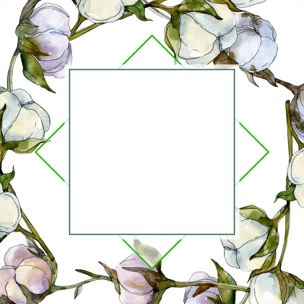 Fleur botanique florale en coton. Feuille sauvage de printemps fleur sauvage isolée. Ensemble d'illustration de fond aquarelle. Aquarelle dessin mode aquarelle isolé. Cadre bordure ornement carré . — Photo de stock