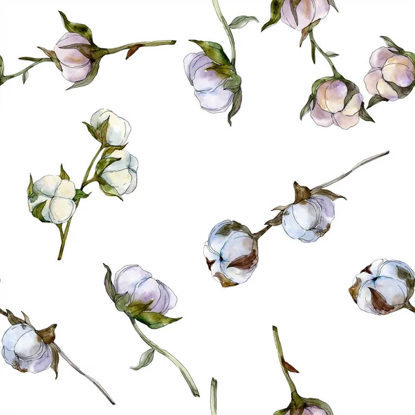 Flor botânica floral de algodão. Folha selvagem da primavera wildflower. Conjunto de ilustrações aquarela. Aquarelle desenho aquarelle moda isolado. Padrão de fundo sem costura. Tecido papel de parede impressão textura . — Fotografia de Stock