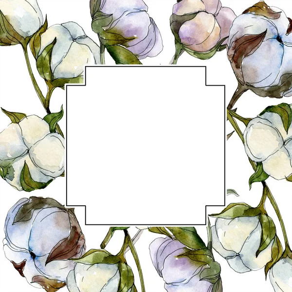 Flor botânica floral de algodão. Folha selvagem primavera wildflower isolado. Conjunto de ilustração de fundo aquarela. Aquarelle desenho aquarelle moda isolado. Quadro borda ornamento quadrado . — Fotografia de Stock