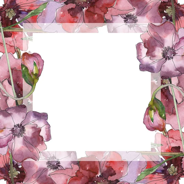 Flor botânica floral de papoula vermelha roxa. Folha selvagem primavera wildflower isolado. Conjunto de ilustração de fundo aquarela. Aquarelle desenho aquarelle moda isolado. Quadro borda ornamento quadrado . — Fotografia de Stock