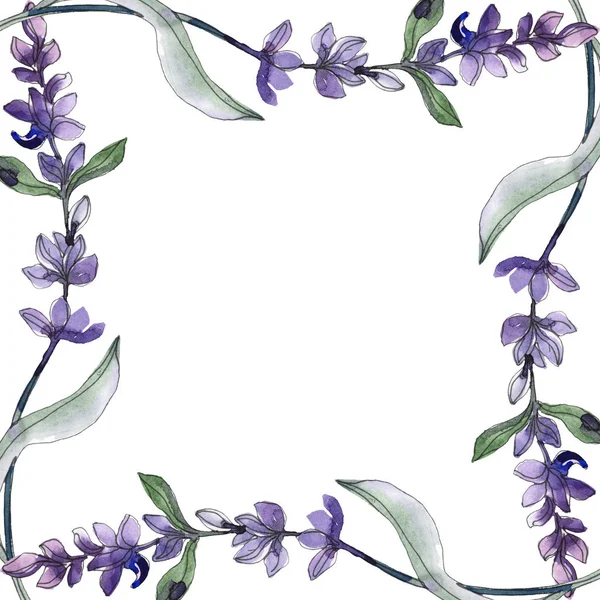 Violettem Lavendel. Aquarell-Illustrationsset vorhanden. nahtlose Hintergrundmuster. Stoff Tapete drucken Textur. — Stockfoto