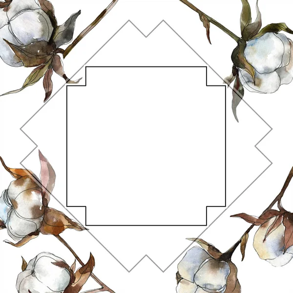 Cotton floral botanical flower. Watercolor background illustration set. Watercolour drawing fashion aquarelle isolated. Frame border ornament square. — Stock Photo