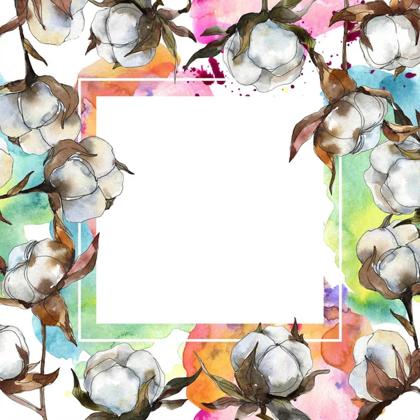 Flor botánica floral de algodón. Conjunto de ilustración de fondo acuarela. Acuarela dibujo moda acuarela aislado. Marco borde ornamento cuadrado . - foto de stock