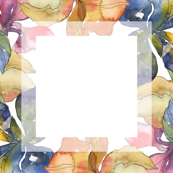 Roxo, vermelho, laranja e azul íris flor botânica floral. Folha selvagem da primavera wildflower. Conjunto de fundo aquarela. Aquarelle desenho aquarelle moda isolado. Quadro borda ornamento quadrado . — Fotografia de Stock