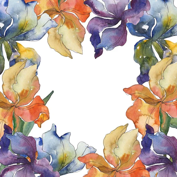 Fiore botanico floreale di iris viola, rosso, arancio e blu. Fiordaliso selvatico. Set sfondo acquerello. Acquerello disegno moda acquerello isolato. Quadrato ornamento bordo cornice . — Foto stock