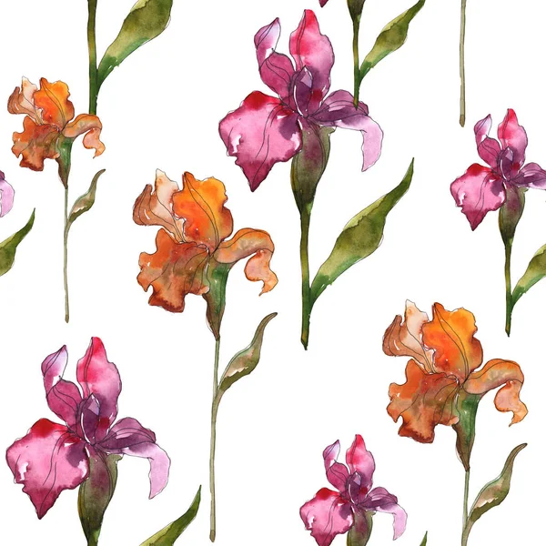 Iris rossi e viola. Set illustrazione acquerello. Modello di sfondo senza soluzione di continuità. Tessuto carta da parati stampa texture . — Foto stock