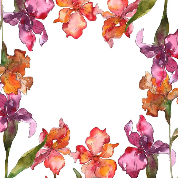 Red and purple floral botanical flower. Wild spring leaf wildflower isolated. Watercolor background illustration set. Watercolour drawing fashion aquarelle isolated. Frame border ornament square. — Stock Photo