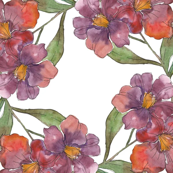 Red and purple camellia flowers. Watercolor background illustration set. Frame border ornament with copy space. — Stock Photo