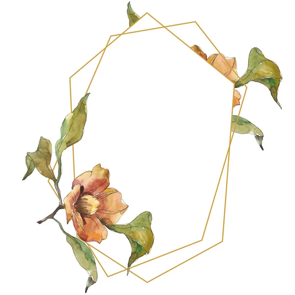 Flores de camelia anaranjadas aisladas con flores verdes. Juego de ilustración en acuarela. Marco ornamento borde con espacio de copia . - foto de stock