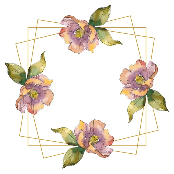 Isolated orange and purple camellia flowers with green flowers. Watercolor illustration set. Frame border square ornament with copy space. — Stock Photo