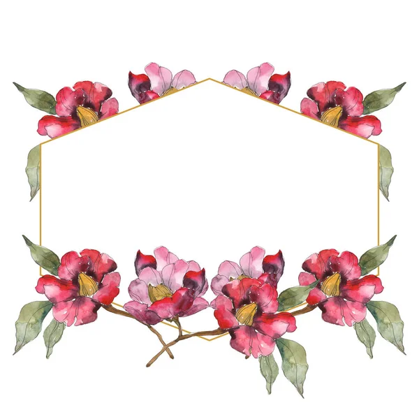 Fiori isolati di camelia rossa con fiori verdi. Set illustrazione acquerello. Ornamento bordo cornice con spazio copia . — Foto stock