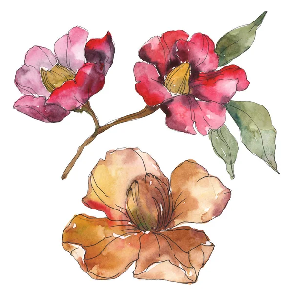 Isolated orange and red camellia flowers with green leaves. Watercolor illustration set. — Stock Photo