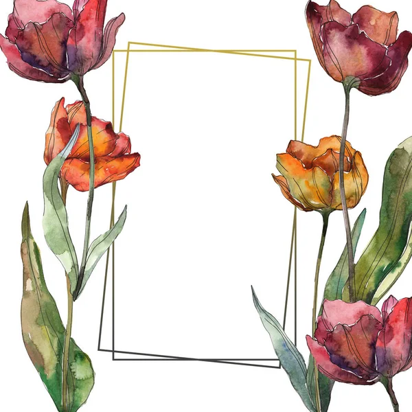 Papaveri borgognoni e rossi isolati con foglie. Set illustrazione acquerello. Ornamento bordo cornice con spazio copia . — Foto stock