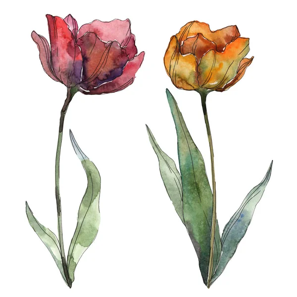 Burgundy and orange isolated poppies with leaves. Watercolor illustration elements. — Stock Photo