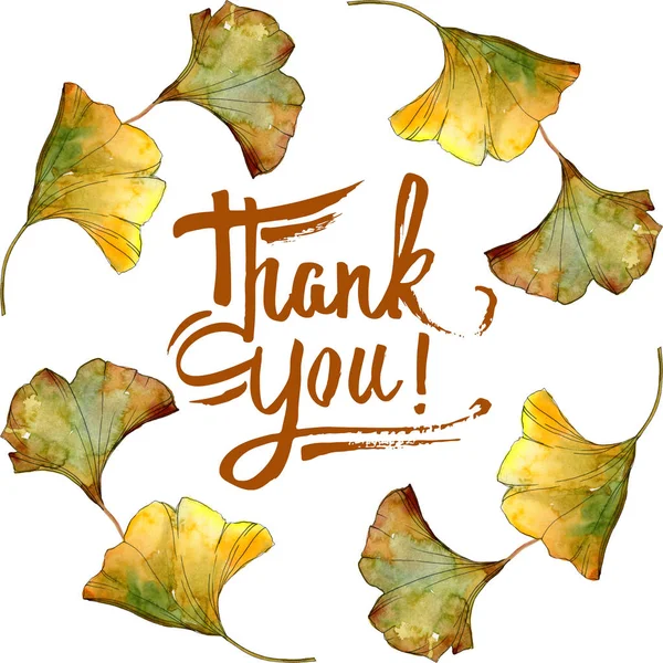 Yellow and green ginkgo biloba foliage watercolor isolated illustration set. Frame border ornament with thank you lettering. — Stock Photo