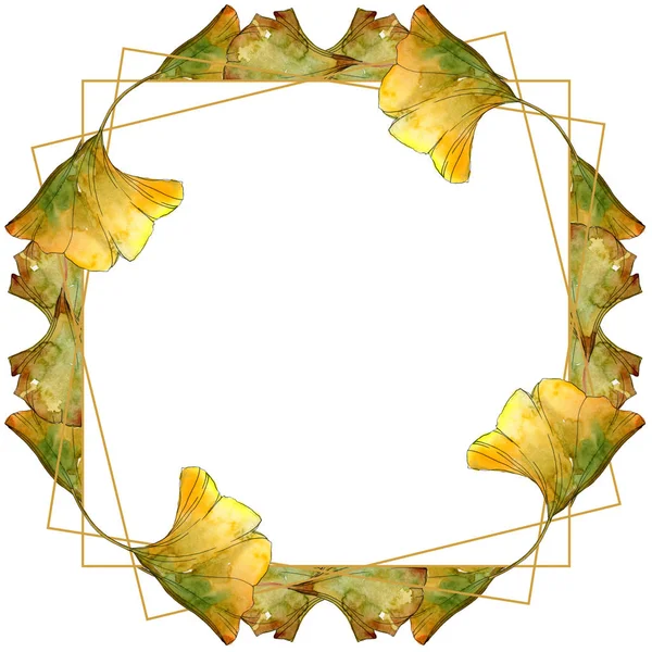 Ensemble d'illustration d'aquarelle de feuillage ginkgo biloba vert et jaune. Cadre bordure ornement avec espace de copie . — Photo de stock