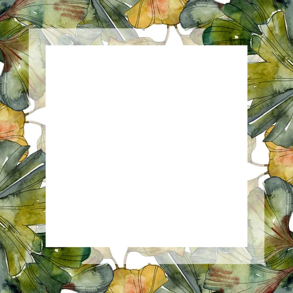 Set d'illustration aquarelle à feuillage ginkgo biloba vert. Cadre bordure ornement avec espace de copie . — Photo de stock