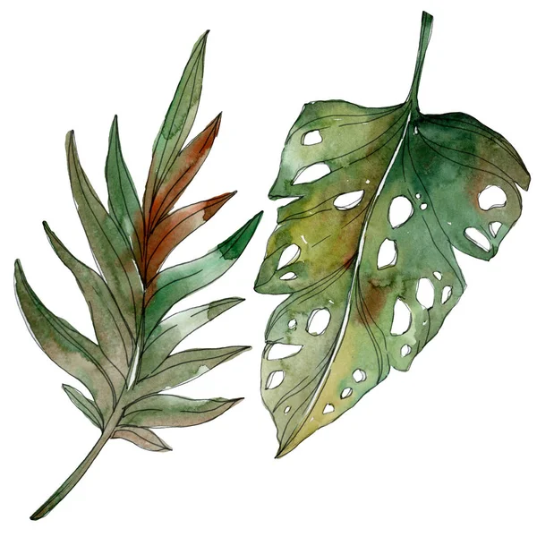 Feuilles exotiques de palmier vert tropical. Ensemble d'illustration aquarelle . — Photo de stock