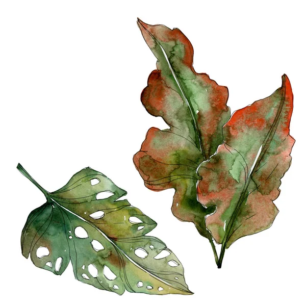 Feuilles exotiques de palmier vert tropical. Ensemble d'illustration aquarelle . — Photo de stock