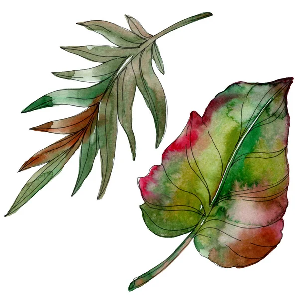 Exotic tropical green palm beach tree leaves jungle botanical. Watercolor background illustration set. Watercolour drawing fashion aquarelle. Isolated leaf illustration element. — Stock Photo
