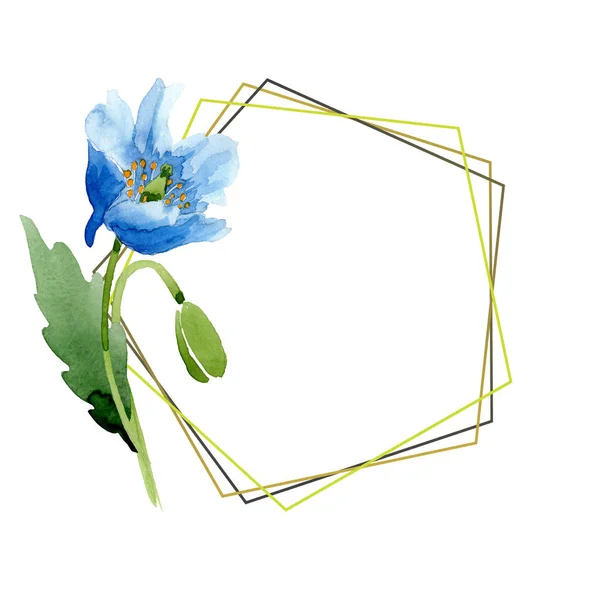 Синя макова акварельна ілюстрація з геометричною рамкою . — стокове фото