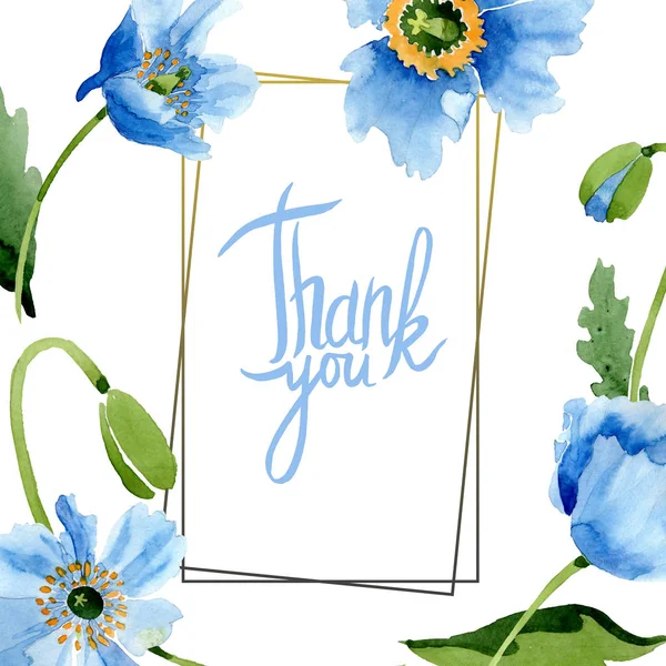 Coquelicots bleus, feuilles et bourgeons avec lettrage de remerciement dans un cadre isolé sur blanc. Ensemble d'illustration aquarelle . — Photo de stock