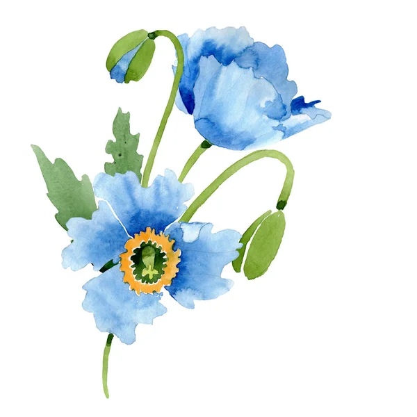 Blauer Mohn, Blätter und Knospen isoliert auf weißem Grund. Aquarell-Illustrationsset. — Stockfoto