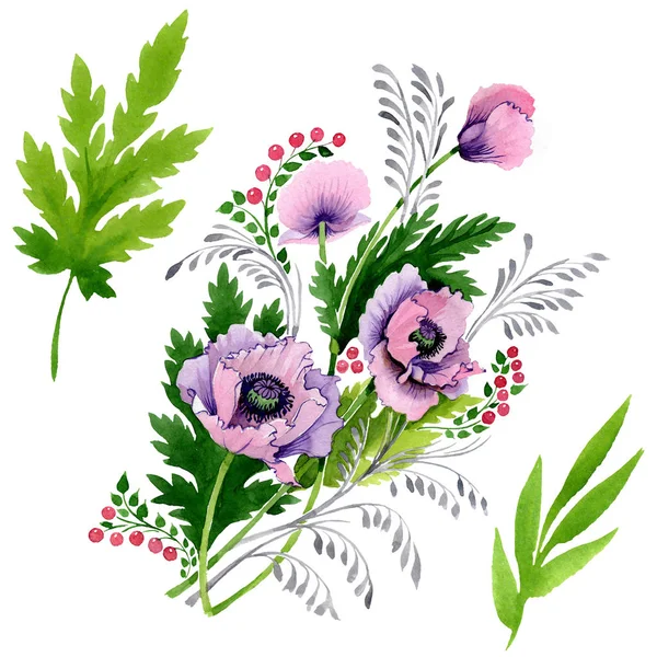 Coquelicots roses et violets isolés sur blanc. Ensemble d'illustration de fond aquarelle . — Photo de stock