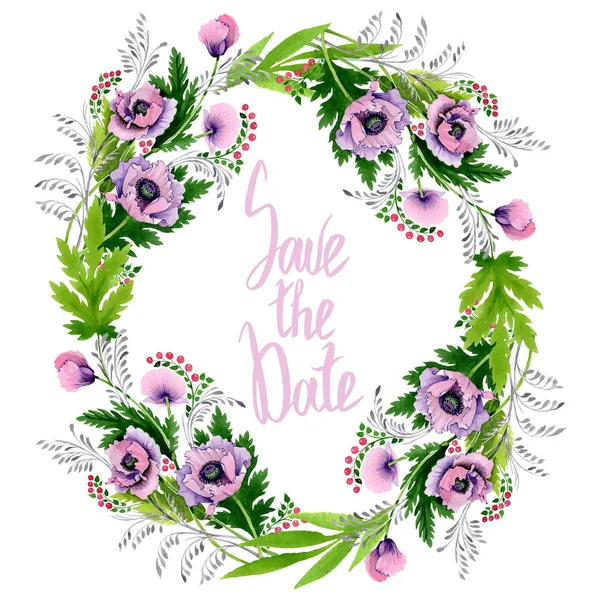 Coquelicots roses et violets isolés sur blanc. Ensemble d'illustration de fond aquarelle. Cadre bordure ornement avec inscription . — Photo de stock