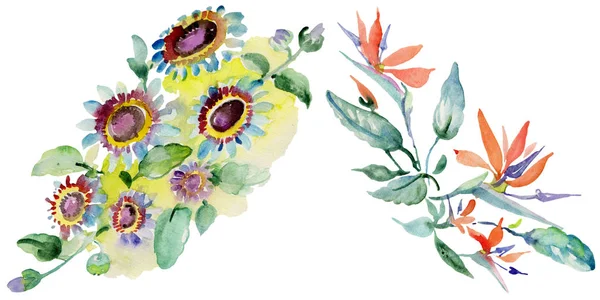 Bouquets floreale fiore botanico. Fiore selvatico primaverile isolato. Acquerello sfondo illustrazione set. Acquerello disegno moda acquerello isolato. Elemento di illustrazione bouquet isolato . — Foto stock