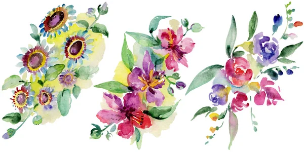 Bouquets flor botânica floral. Folha selvagem primavera wildflower isolado. Conjunto de ilustração de fundo aquarela. Aquarelle desenho aquarelle moda isolado. Isolado buquê elemento ilustração . — Fotografia de Stock