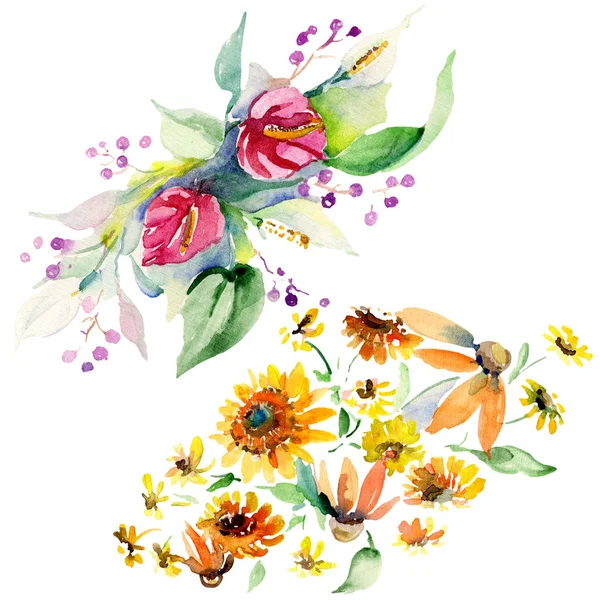 Mazzi di fiori botanici floreali rossi, gialli e arancioni. Foglia selvatica primaverile isolata. Set sfondo acquerello. Acquerello disegno moda acquerello. Elemento di illustrazione bouquet isolato . — Foto stock