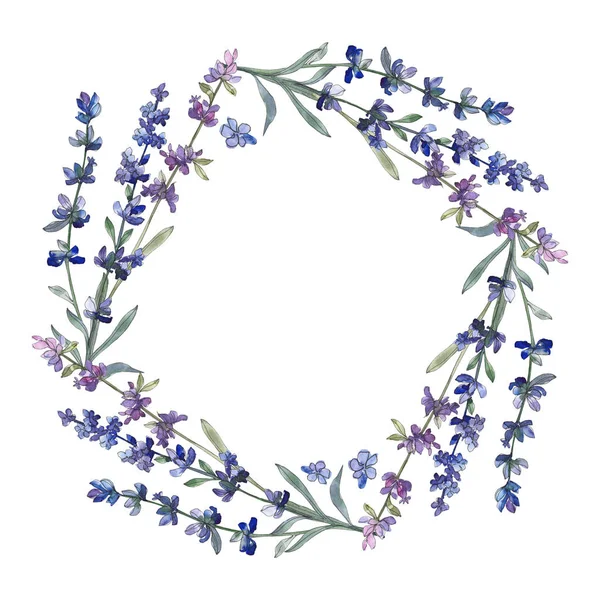 Lavanda roxa. Floral flor botânica. Folha selvagem primavera wildflower isolado. Conjunto de ilustração de fundo aquarela. Aquarelle desenho aquarelle moda isolado. Quadro borda ornamento quadrado . — Fotografia de Stock