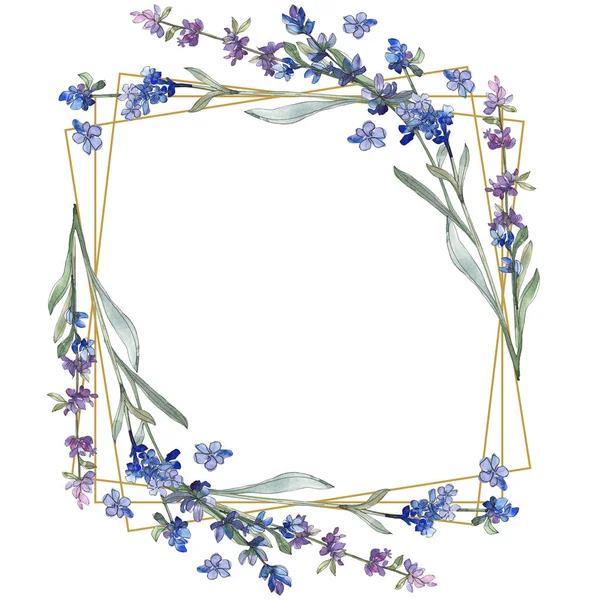 Lavanda púrpura. Flor botánica floral. Flor silvestre de hoja de primavera aislada. Conjunto de ilustración de fondo acuarela. Acuarela dibujo moda acuarela aislado. Marco borde ornamento cuadrado . - foto de stock